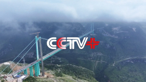 Rekordowy most drogowy